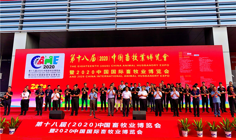 图片1_副本1.jpg