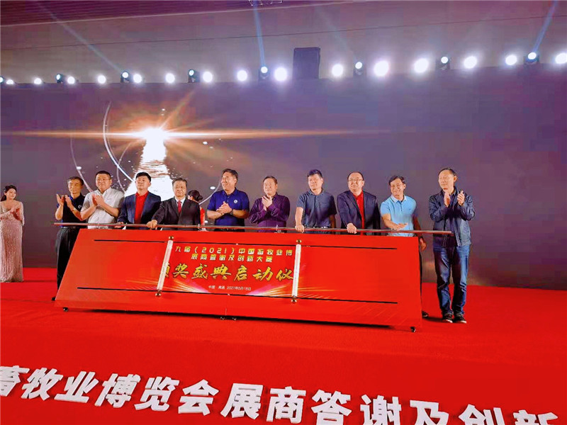 图4_副本1.jpg