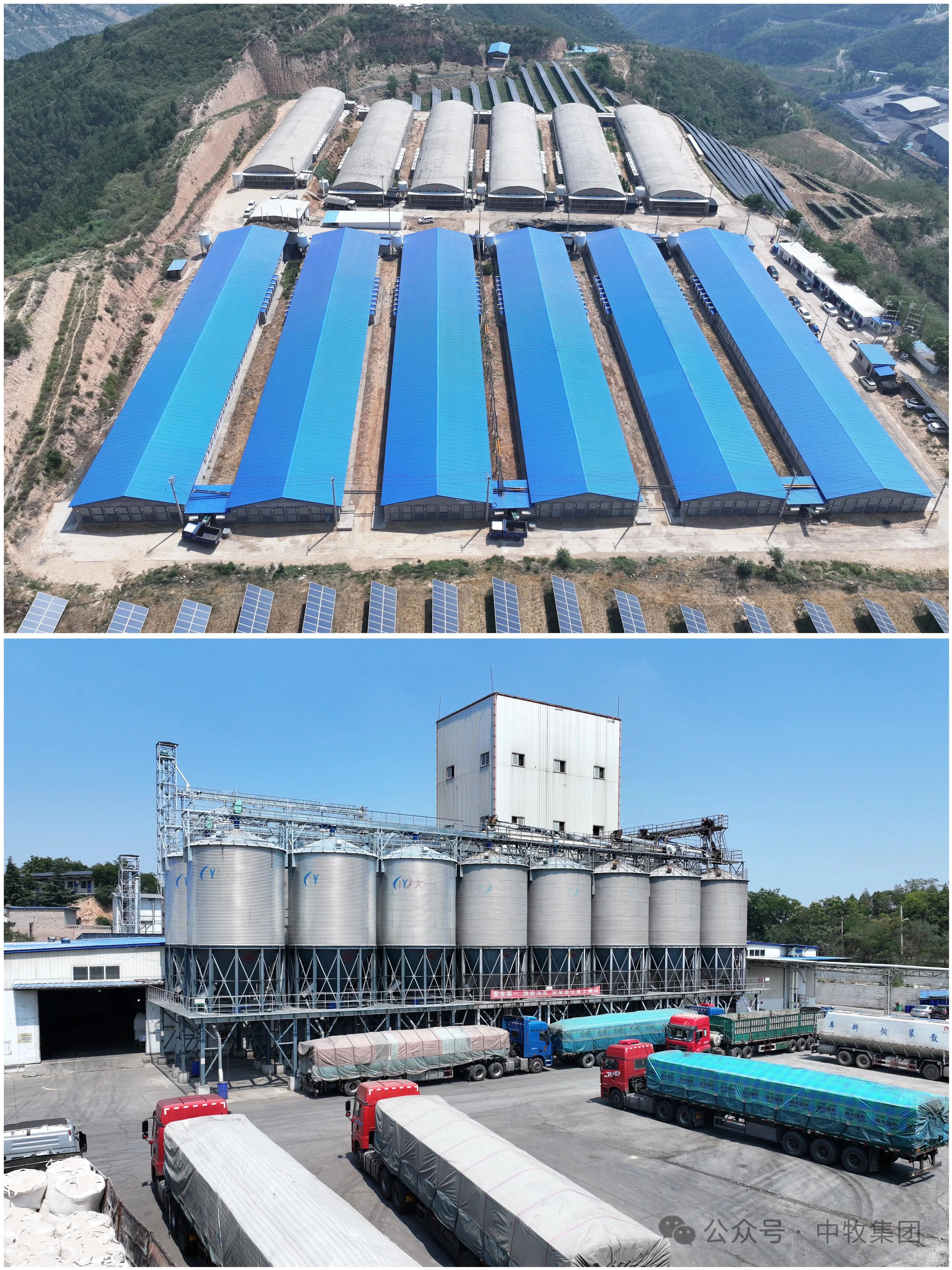 托举黄土高原上的振兴希望——中新食品汾西六和属地共建县域产业富民高地